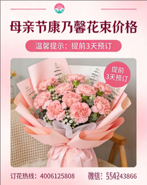 成都双流区花店母亲节康乃馨花束