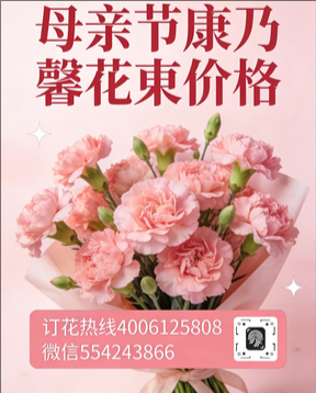 成都双流区花店母亲节康乃馨花束